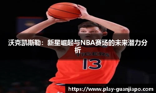 管家婆官网资料